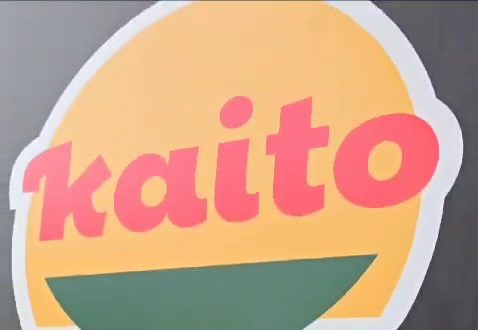 Kaito — Loja Conceito, Concept Store